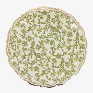 Assiette en carton : 8 assiettes vert botanica