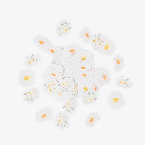 confetti-arty-fetes-daisies-marguerite-2025-BD-1.jpgv1738686598 100 confettis daisies