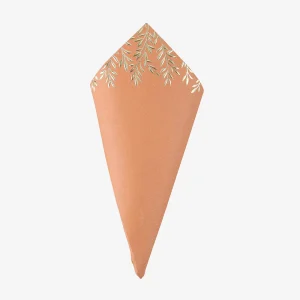 cornet-arty-fetes-jolis-brins-terracotta-2023-BD.jpgv1674055467 10 cornets jolis brins terracotta