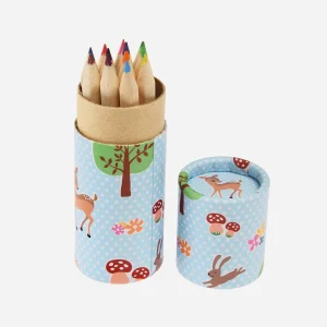 1 boite de 12 crayons animaux des bois