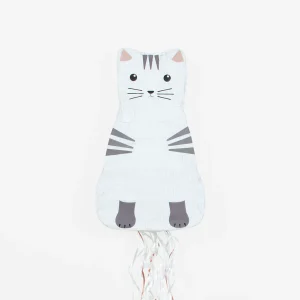 pinata-mld-chat-2024-BD.jpgv1715868167 Pinata chat