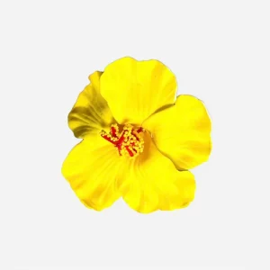 1 pince fleur hawaïenne jaune