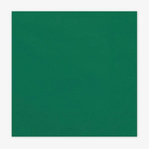 Serviettes en papier : 20 serviettes vertes